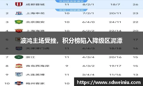 波鸿主场受挫，积分榜陷入降级区泥潭