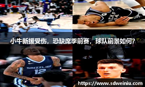 小牛新援受伤，恐缺席季前赛，球队前景如何？