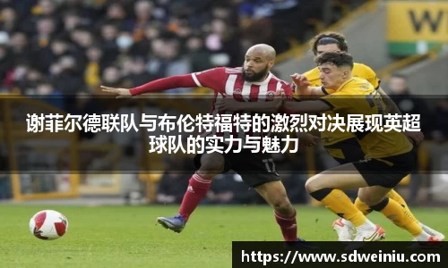 谢菲尔德联队与布伦特福特的激烈对决展现英超球队的实力与魅力