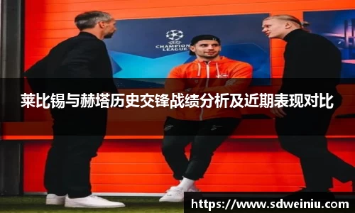 莱比锡与赫塔历史交锋战绩分析及近期表现对比